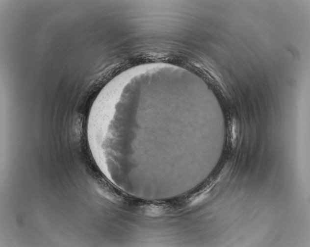X0000110990412200907171756