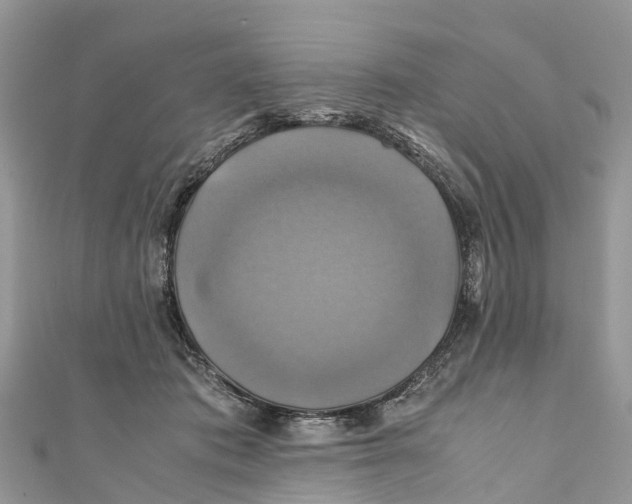 X0000110990413200907171756