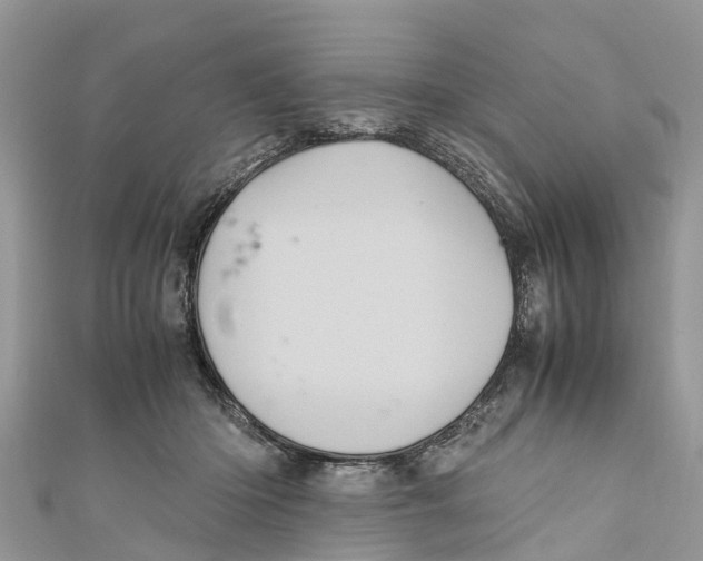 X0000110990414200907171756
