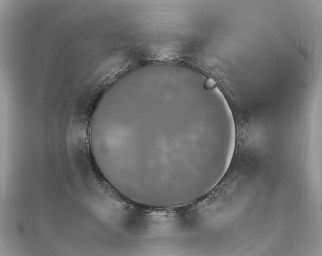 X0000110990415200907171756