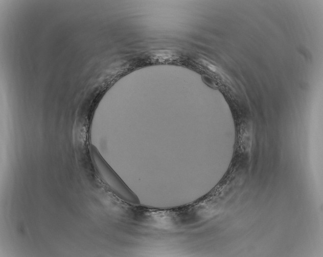 X0000110990417200907171756