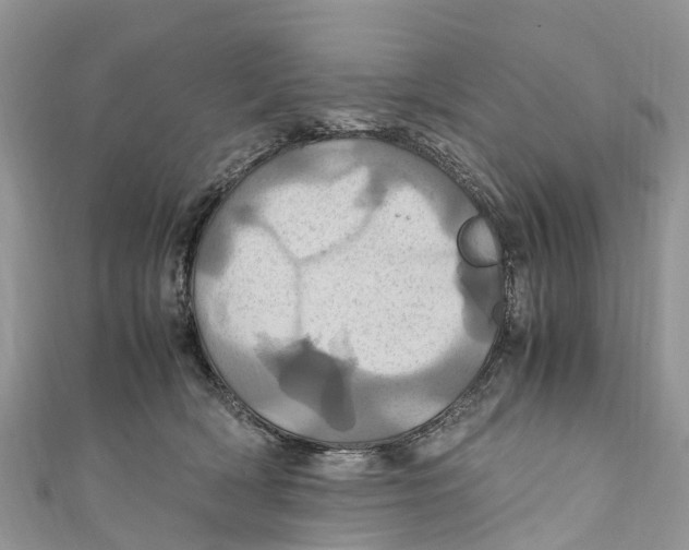 X0000110990418200907171756