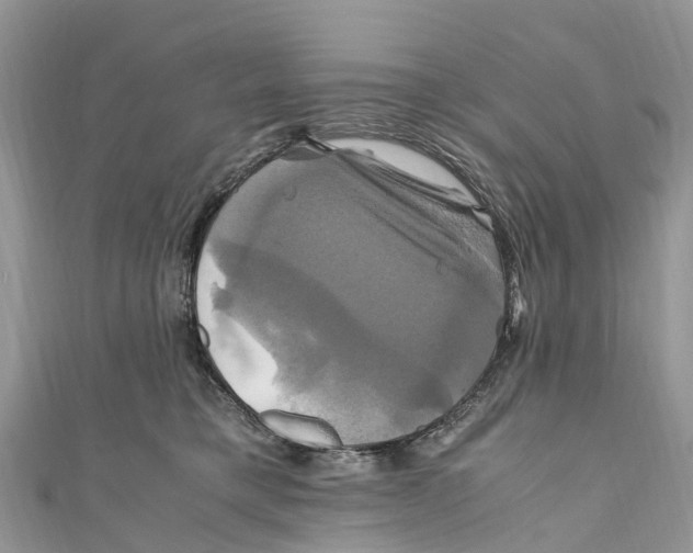 X0000110990421200907171756