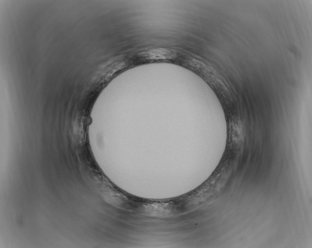X0000110990422200907171756