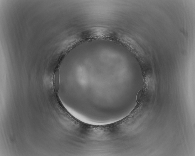 X0000110990423200907171756
