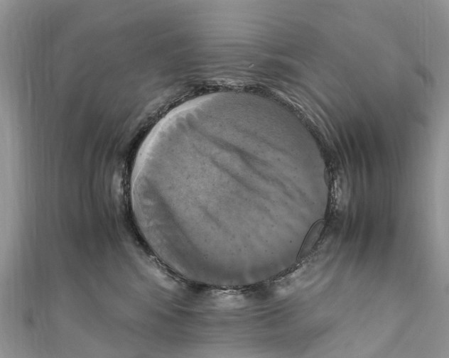 X0000110990424200907171756