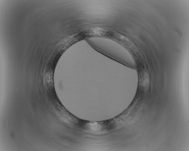 X0000110990425200907171756