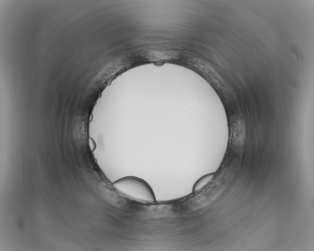 X0000110990426200907171756