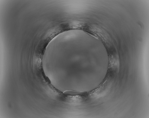 X0000110990427200907171756