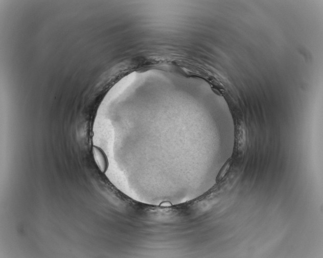 X0000110990428200907171756