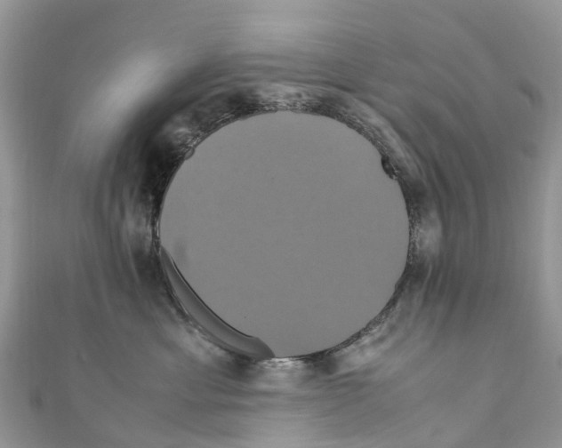 X0000110990429200907171756