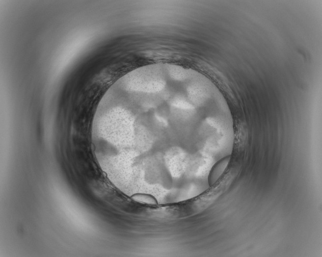 X0000110990430200907171756