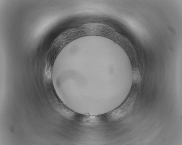 X0000110990431200907171756