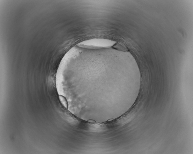 X0000110990432200907171756