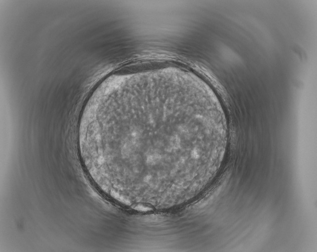 X0000110990433200907171755