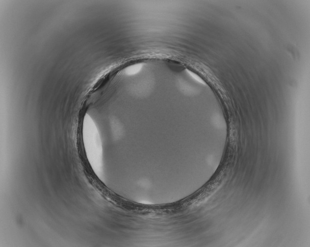 X0000110990434200907171755