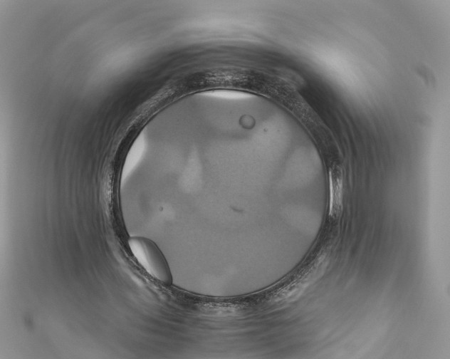 X0000110990435200907171755