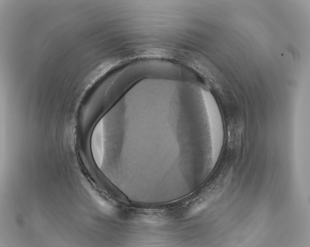X0000110990436200907171755