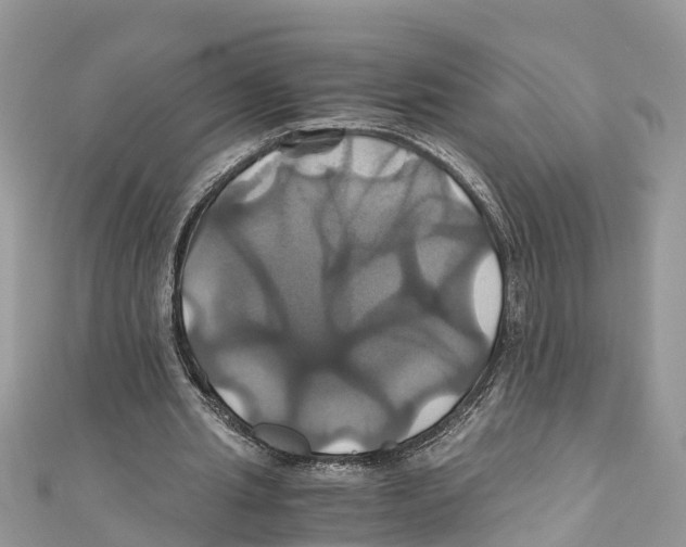 X0000110990437200907171755
