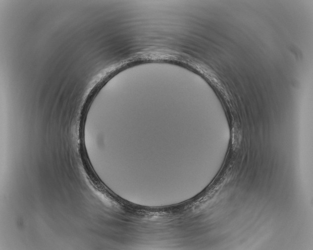 X0000110990438200907171755