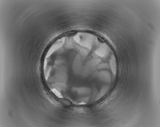 X0000110990439200907171755