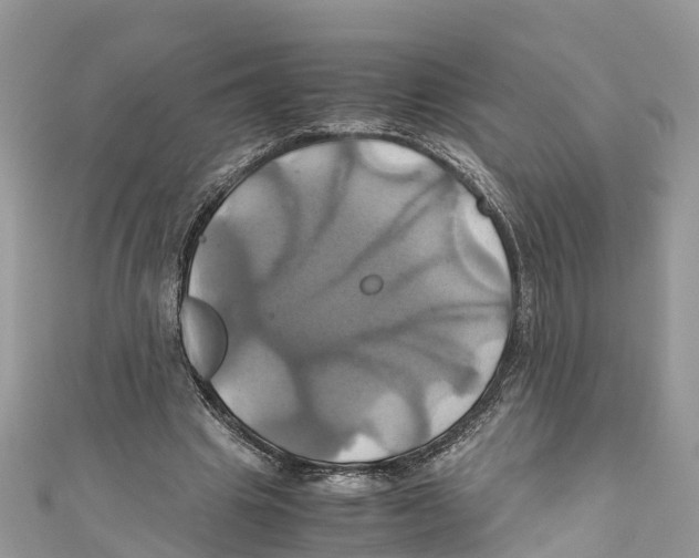 X0000110990441200907171755