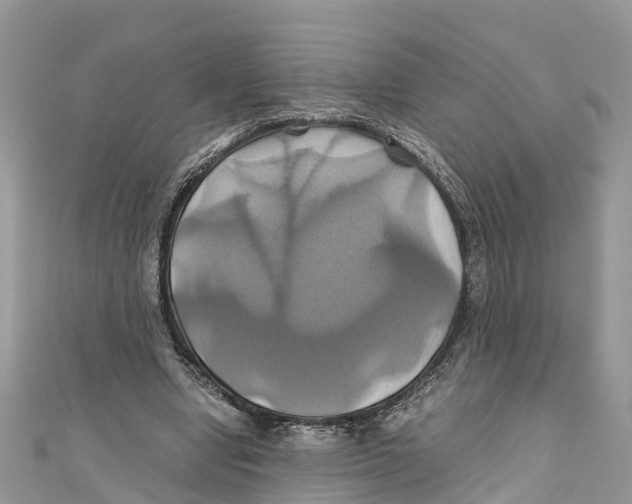 X0000110990442200907171755
