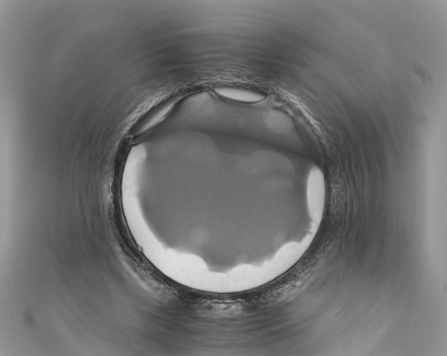 X0000110990443200907171755
