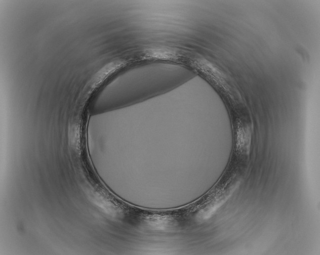 X0000110990444200907171755