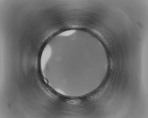 X0000110990447200907171755