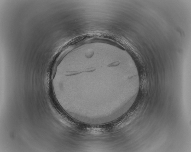 X0000110990448200907171755