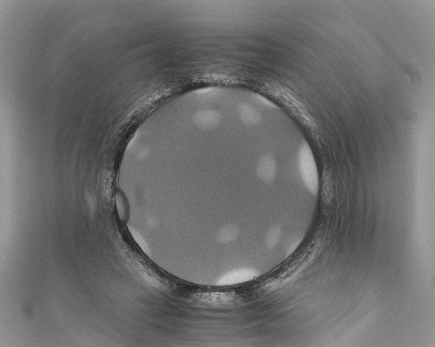 X0000110990449200907171755