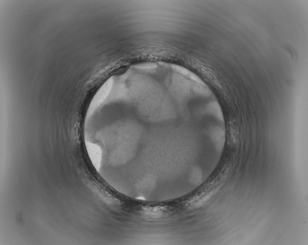 X0000110990450200907171755