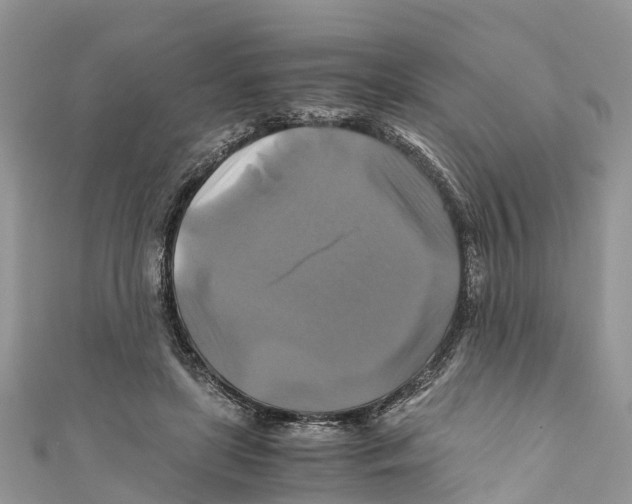 X0000110990451200907171755