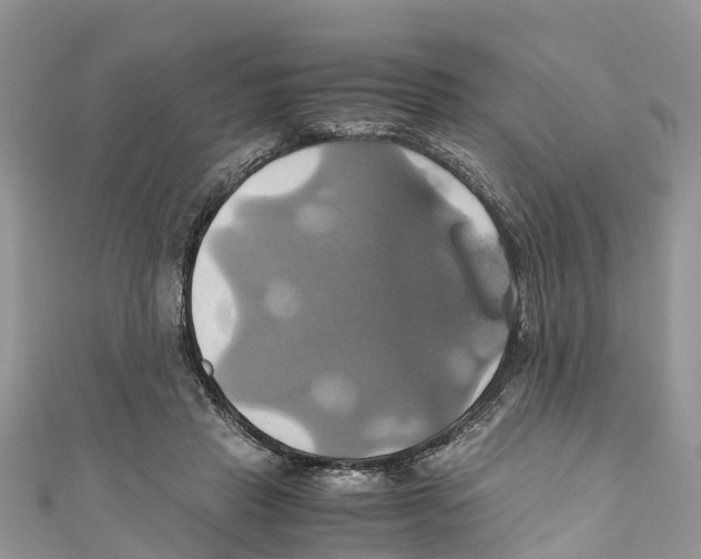 X0000110990453200907171755