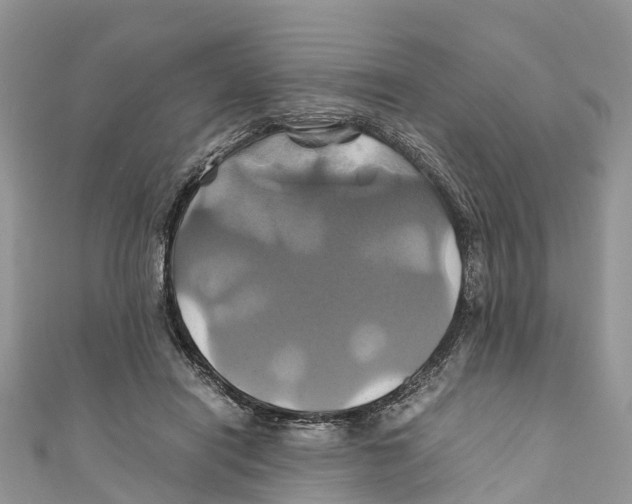 X0000110990454200907171755