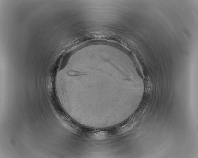 X0000110990456200907171755