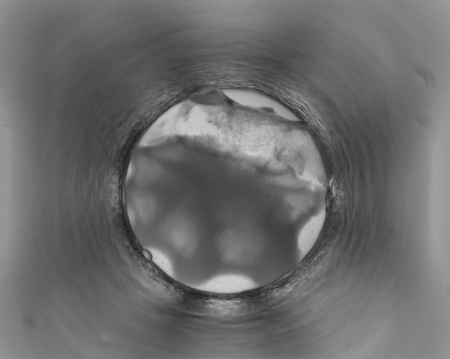 X0000110990457200907171755