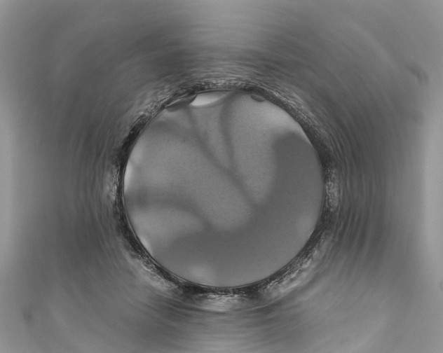 X0000110990458200907171755