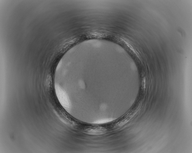 X0000110990459200907171755