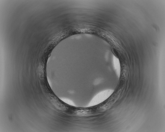 X0000110990461200907171755