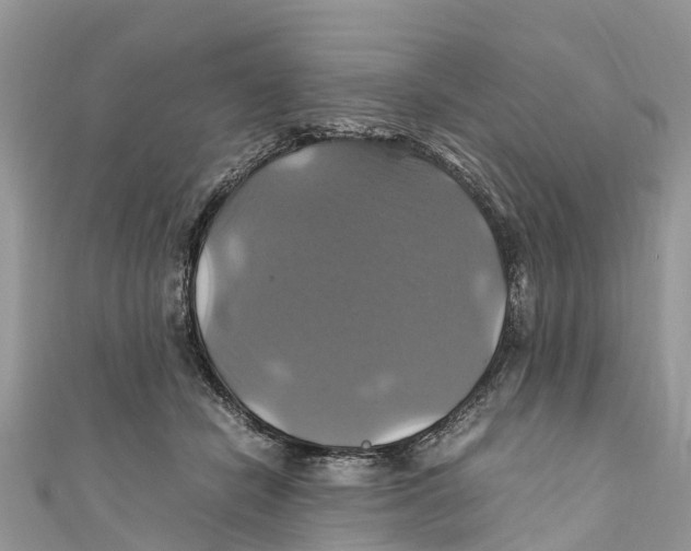 X0000110990462200907171755