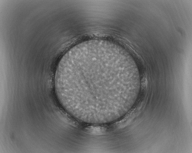 X0000110990464200907171755