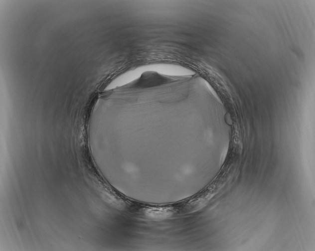 X0000110990465200907171755