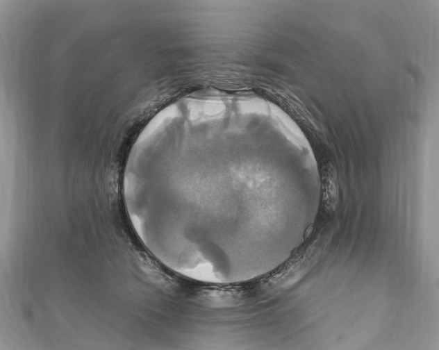 X0000110990466200907171755