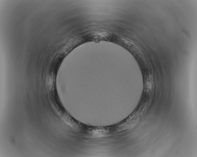 X0000110990468200907171755
