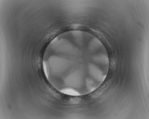 X0000110990470200907171755