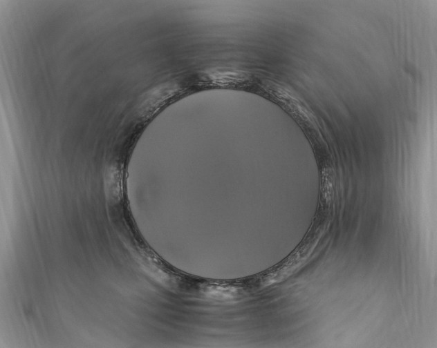 X0000110990471200907171755