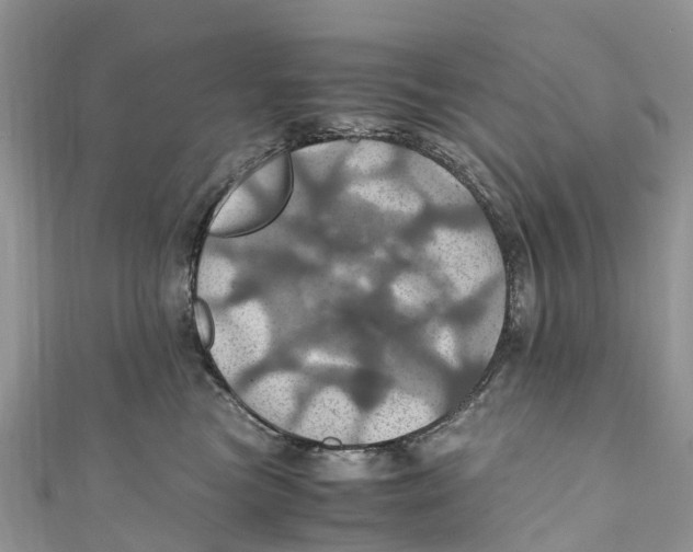X0000110990473200907171756
