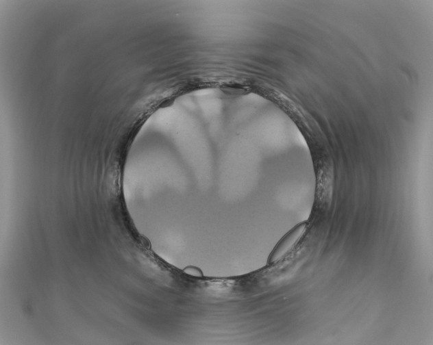 X0000110990474200907171756